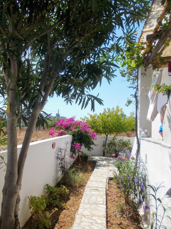 Nyfes Traditional Boutique Frosyni Skyros Extérieur photo