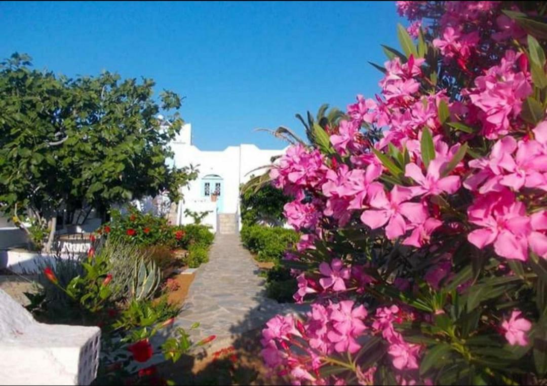 Nyfes Traditional Boutique Frosyni Skyros Extérieur photo