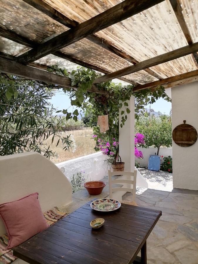 Nyfes Traditional Boutique Frosyni Skyros Extérieur photo