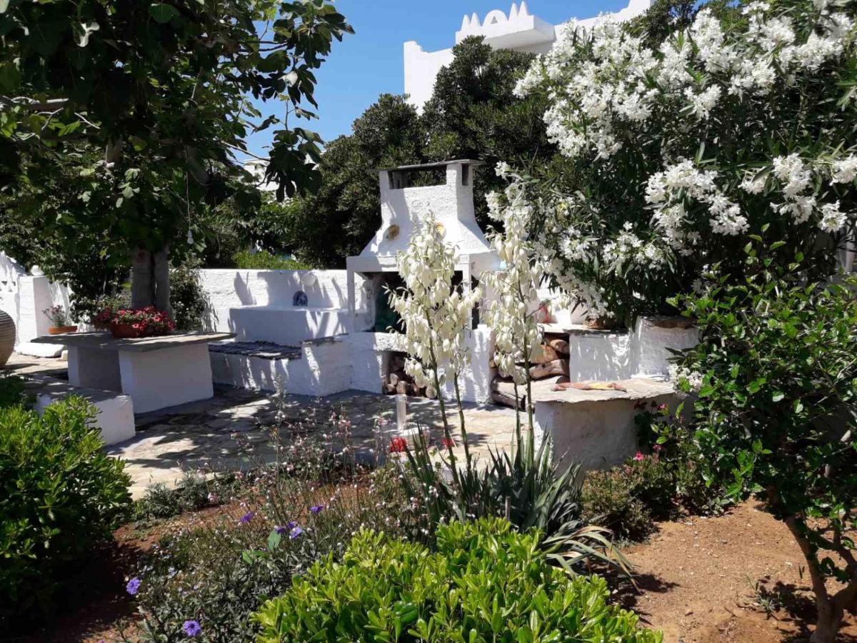 Nyfes Traditional Boutique Frosyni Skyros Extérieur photo